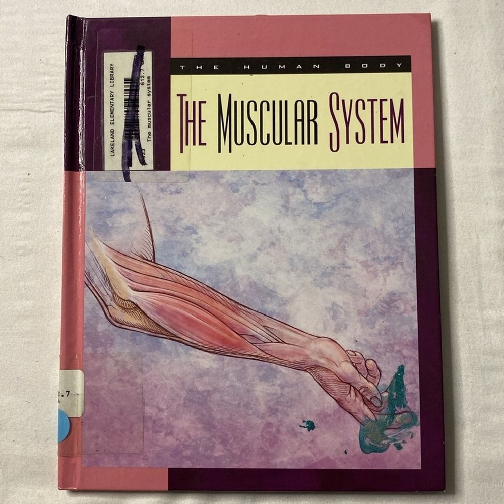 The Human Body The Muscular System by Susan Gray Elementary Library Kid Learning